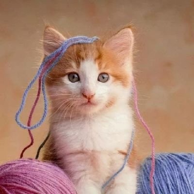 🅼🅰🅺 🆁🅴🅽🆈 🌾