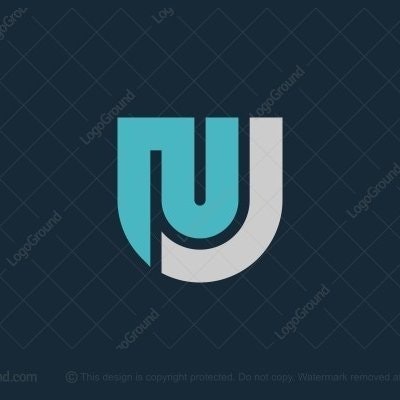 NIRMAL VAGHELA ( nj_casanova.near )