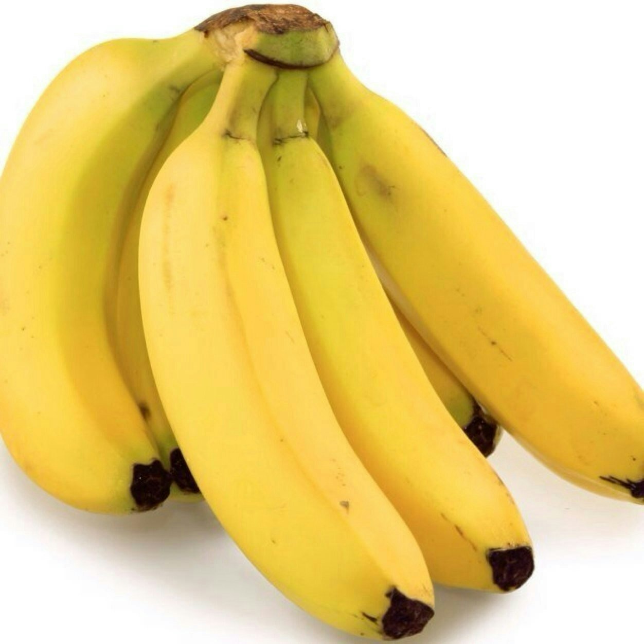 Banana Facts