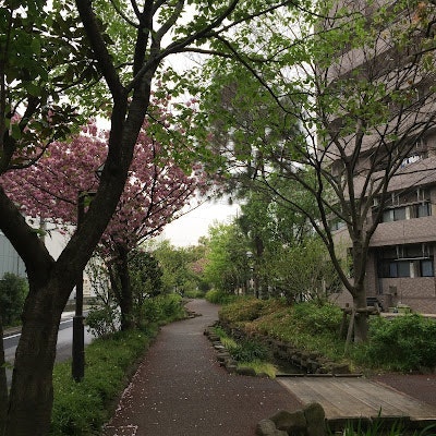 thịnh nguyễn đức