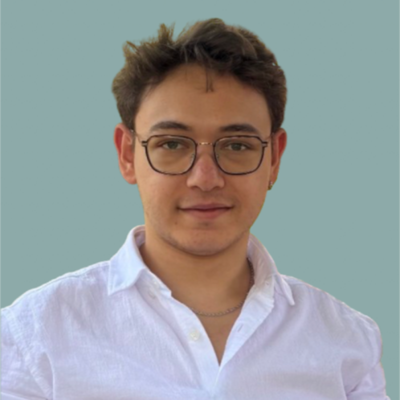 Leo Ahmet Kök