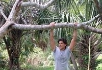 John Alexander Schott