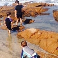 Julio C. Montealegre