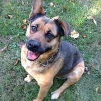 Vallory Dearing Welday