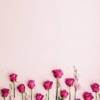 Ани Ростомян