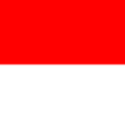 Indoreview365