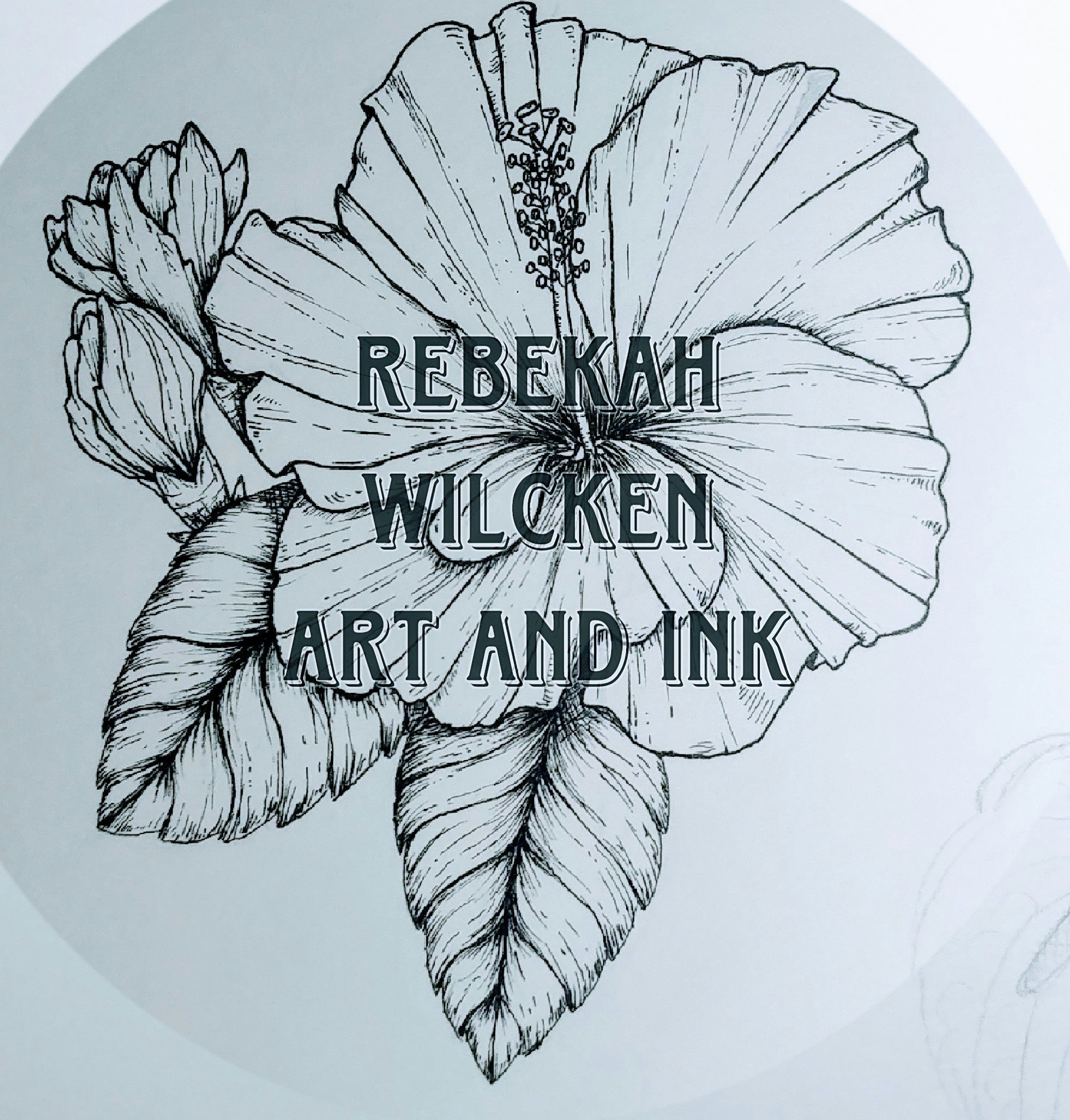 Rebekah Wilcken