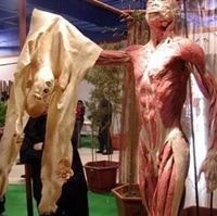 Craig Colin Roy McLeod