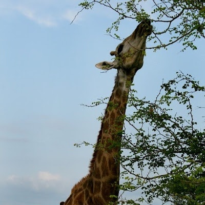 Slot Gacor Joker123 Terbaru 2021