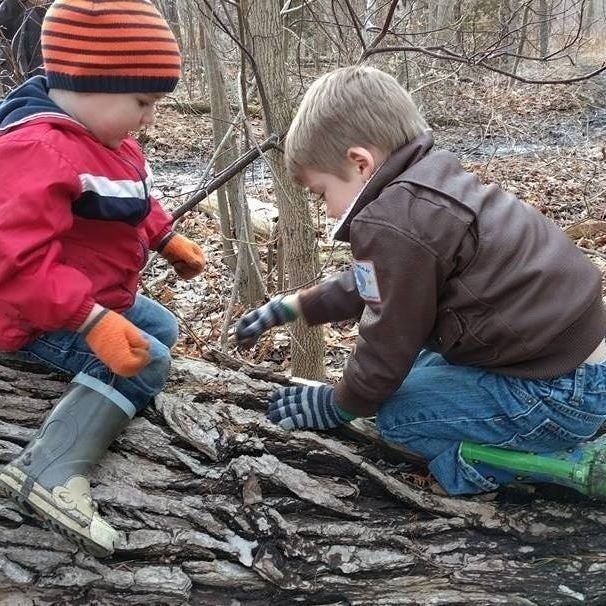 Chris Orr-Van Abbema