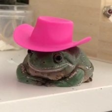 Gabriel Sampaio ⛩️