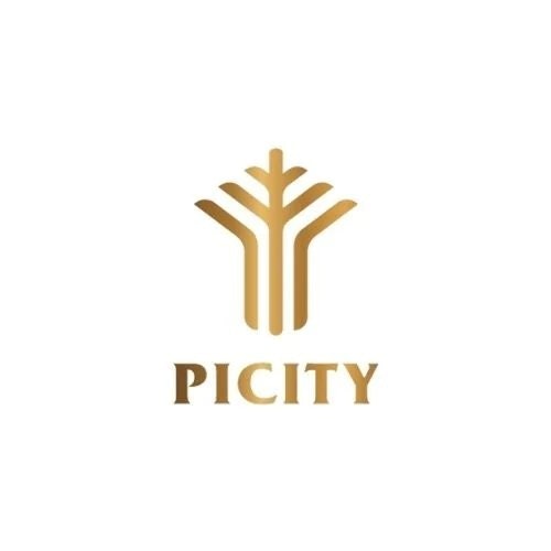 Picity SkyPark