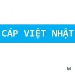 capvietnhat