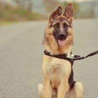 Sandrine Choquet Petitjean