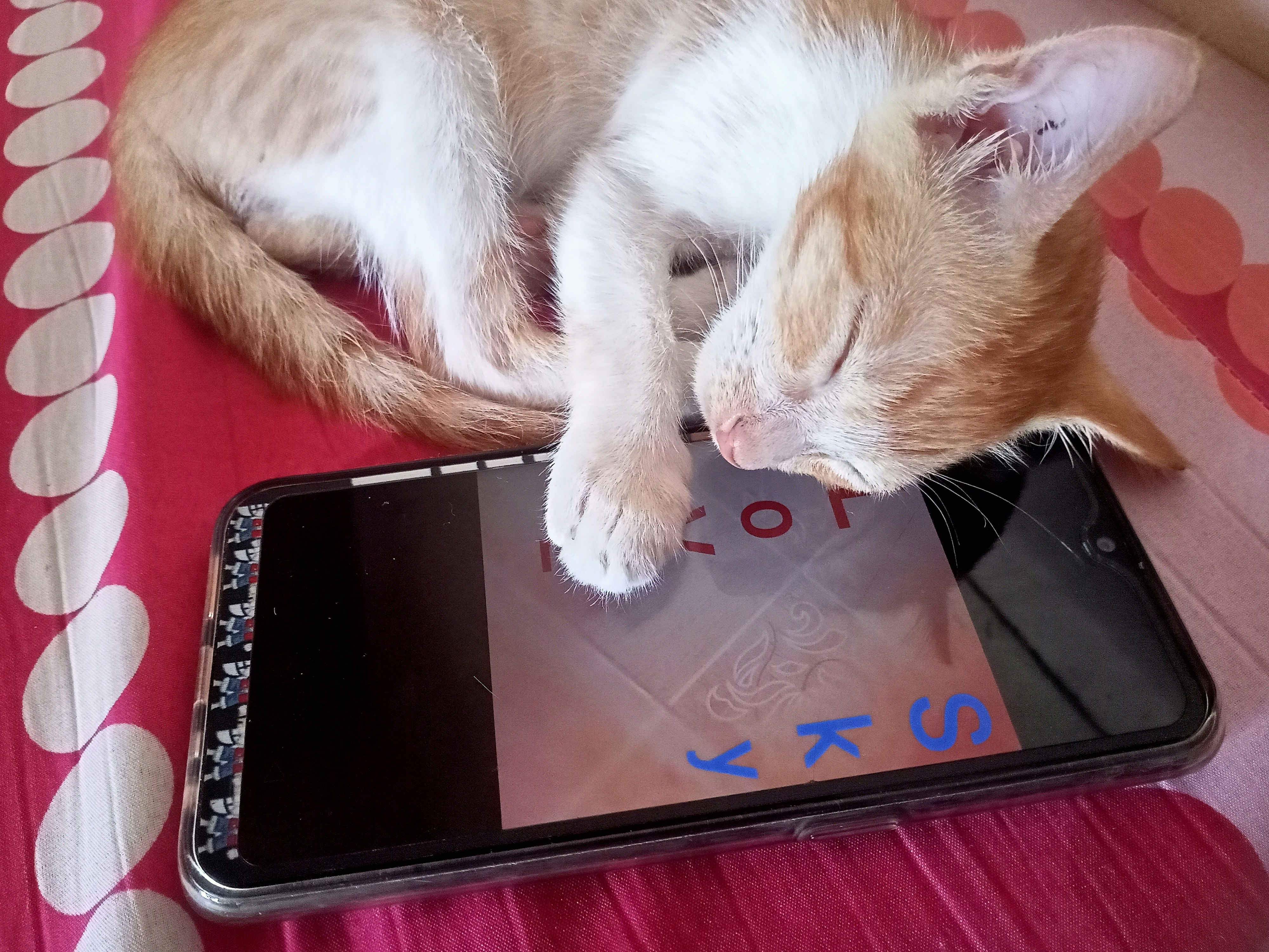 rV👩‍❤️‍👨 BIRTHMONTH🥳