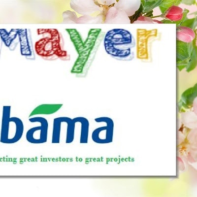 Mayer Bama