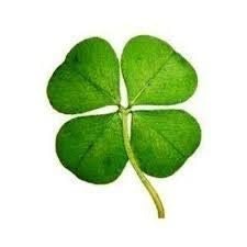 🍀I'm A Winner💰🌿