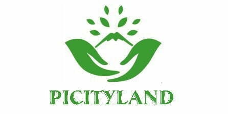 picityland