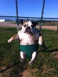 Alexander Aubrey Smith