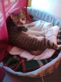 Maria De Fatima Ramos