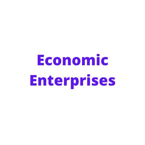 Econimic Enterprises