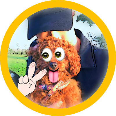 ProductHunt profile picture for @landro