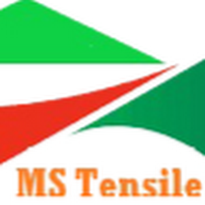 MS Tensile Structure