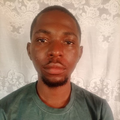 Shola Bamisola Aremu