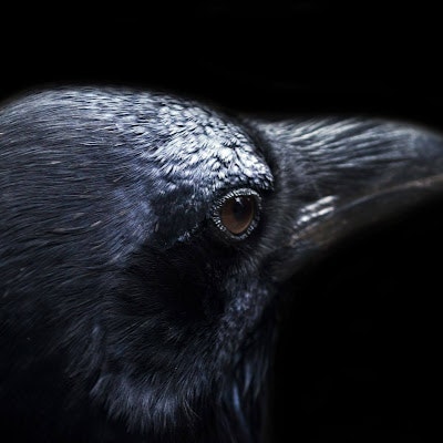 Анна Березина