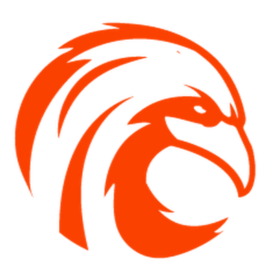 Flying Web Solutions