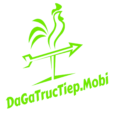 Đá gà Trực tiếp