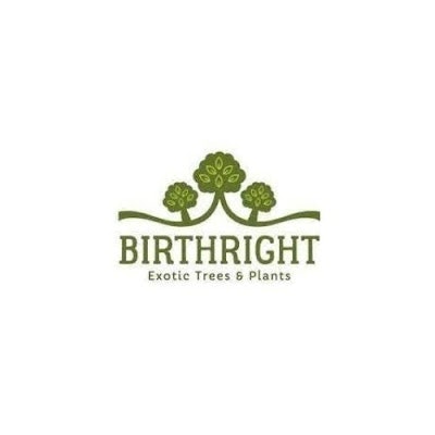 ProductHunt profile picture for @birthright