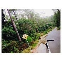 Restia Larasati Albar