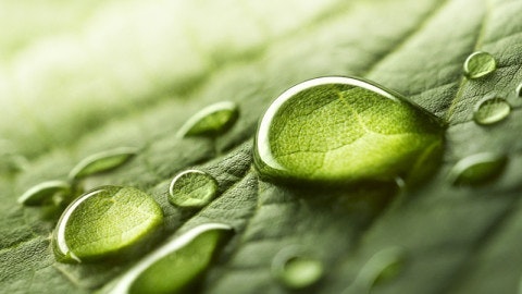 Aswathy ChandraSekhar