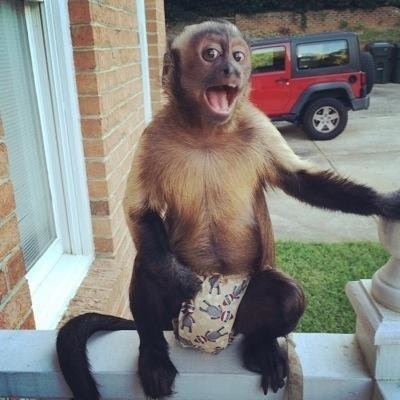 Neneng Septika Dagis