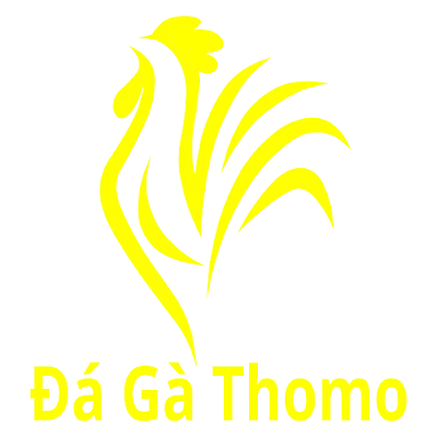 Đá gà Thomo