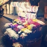 Nourah Abdulrahman Alammar