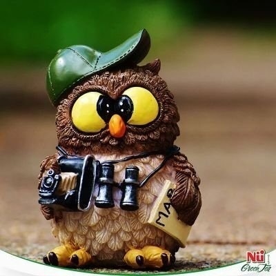 Fàiz The Pak Äji™