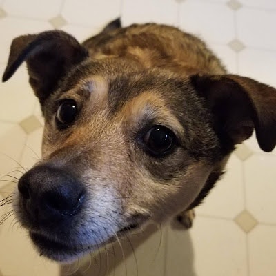 ProductHunt profile picture for @marge