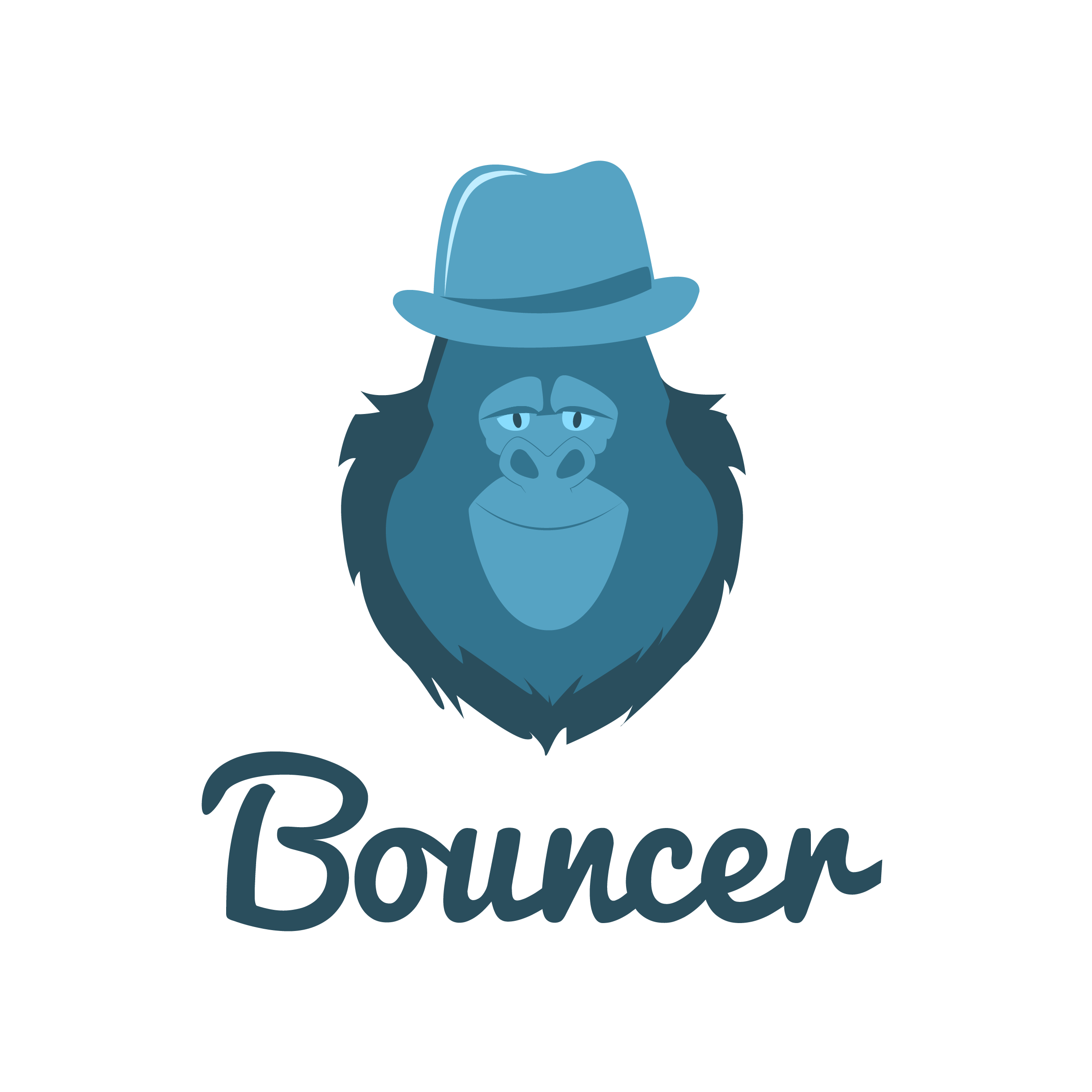 Bouncer