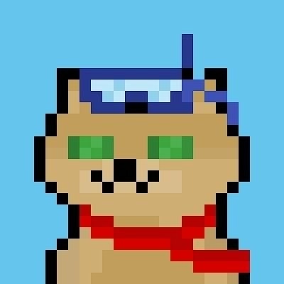 Dogestradamus69 (Definitely not sabotage