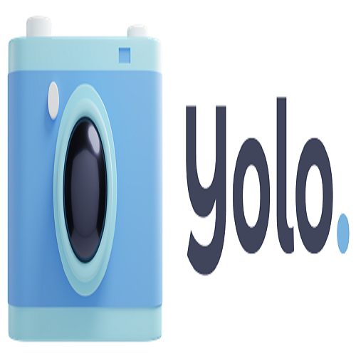 yolo net