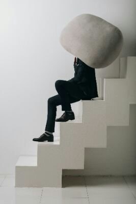 Рассказали птицы