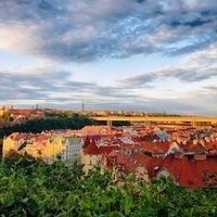 Борис Некрасов