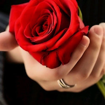 شركة الأفكار الأساسية