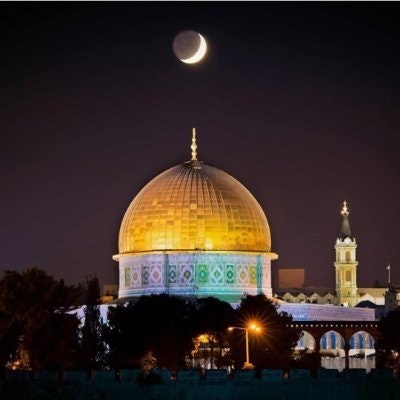 Fatma Memes📚🌵( حفيدة الصّديق فاطـــمَــة