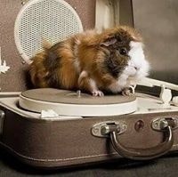 Mag Mylène Farmer Beaufils