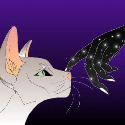 DeadCrazyDude.eth.bsc