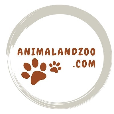 Animalandzoo
