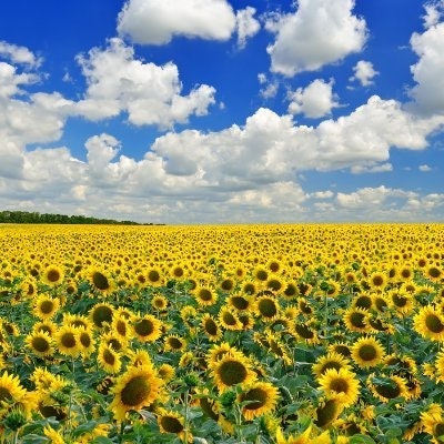 kozlov81kozlov81@mail.ru